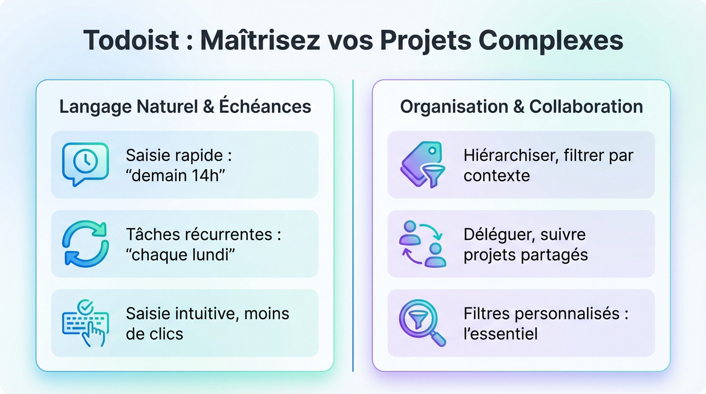 Interface de l'outil gestion tâches Todoist avec planification intelligente